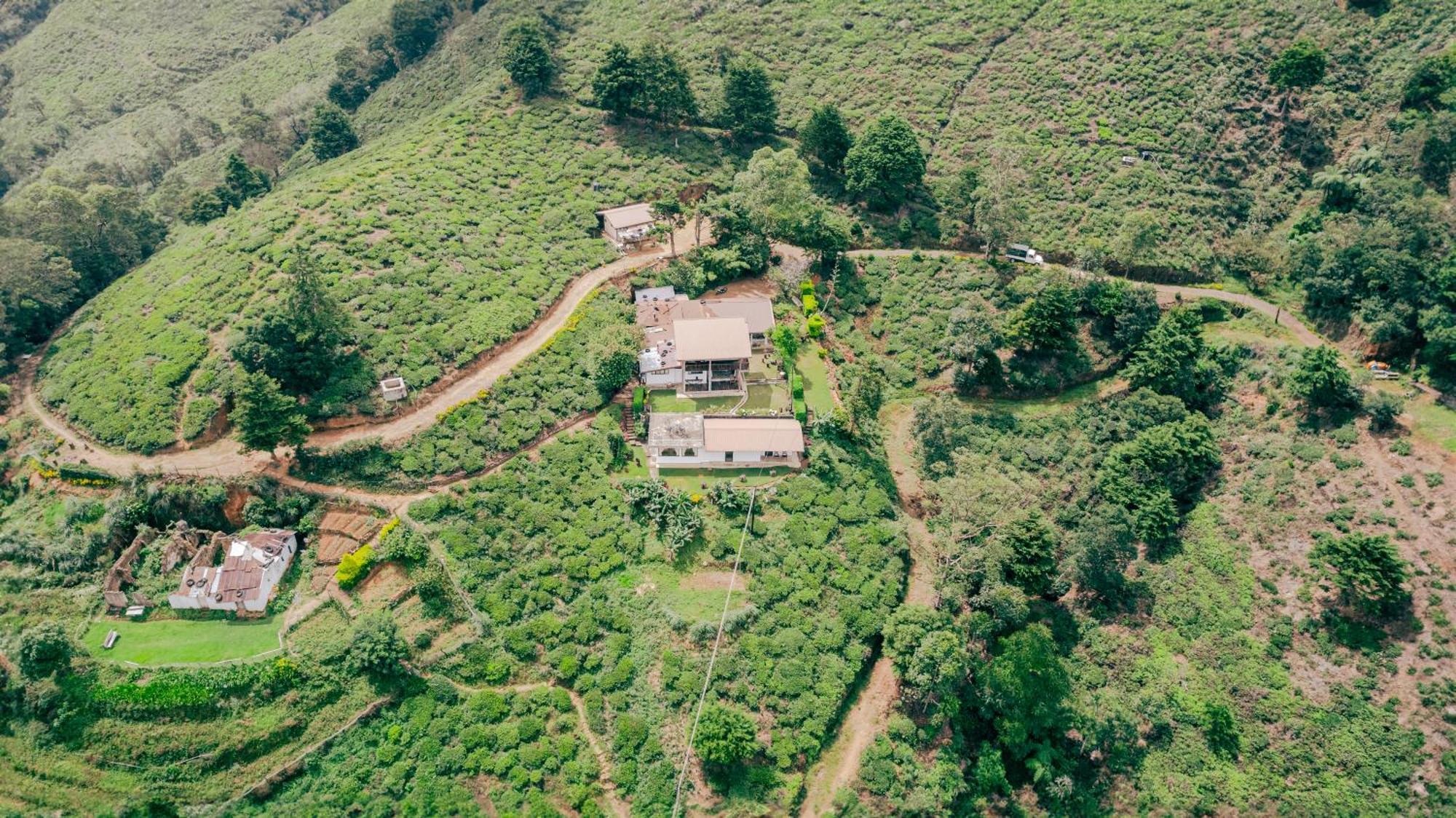 אוהייה Hill Safari - Tea Estate Villa מראה חיצוני תמונה